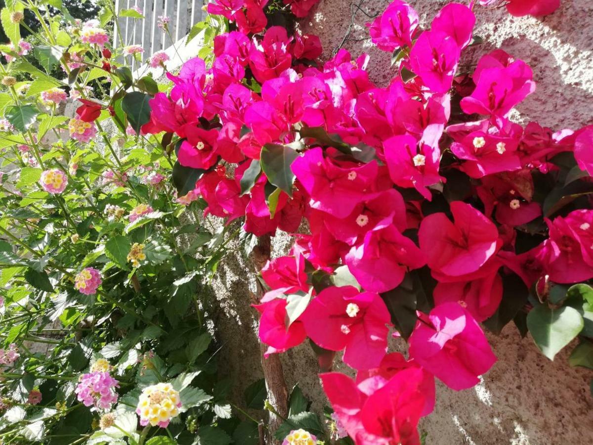 Apartman Luka Dubrovnik